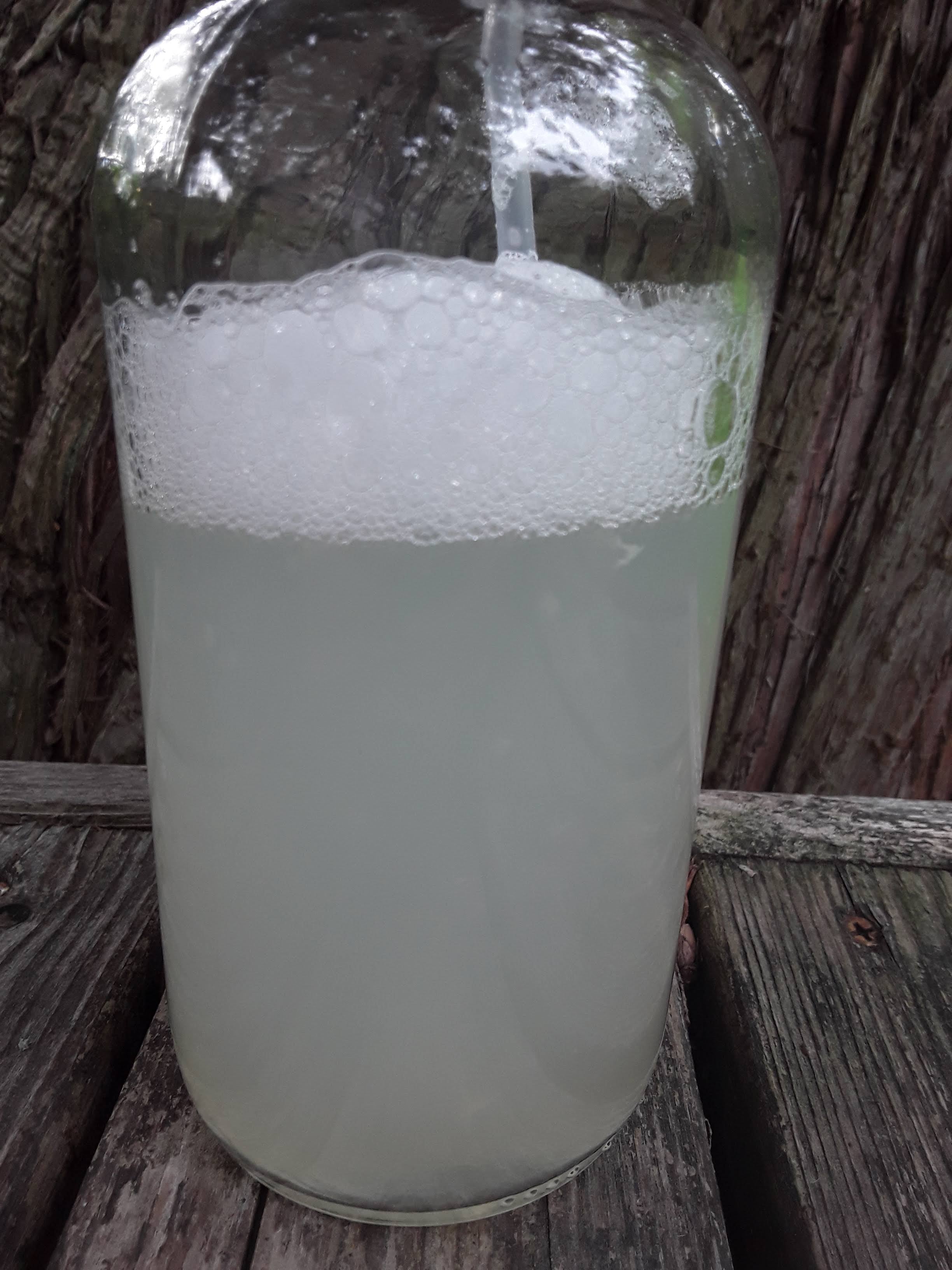 All-Purpose Cleaning Concentrate