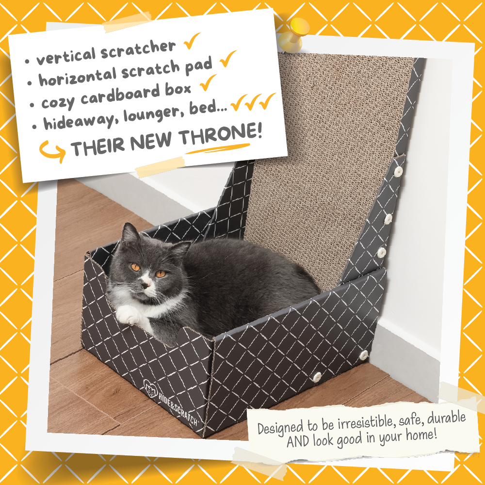 26" L Shaped Cat Scratcher Box and Cat Bed with Double-Sided Cardboard Cat Scratch Pad